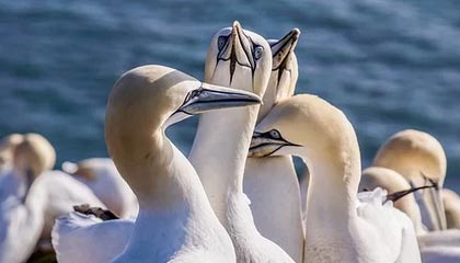 开云·体育官方网站入口-KPL赛区粉丝互动活动热烈举行，粉圈kpl什么意思